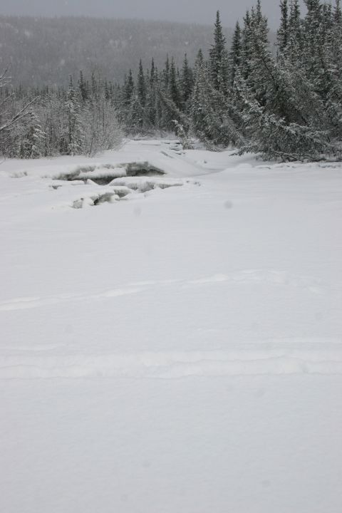 2003 Jeep TJ - A winter scene with snow-covered ground, trees, and a partially frozen stream.