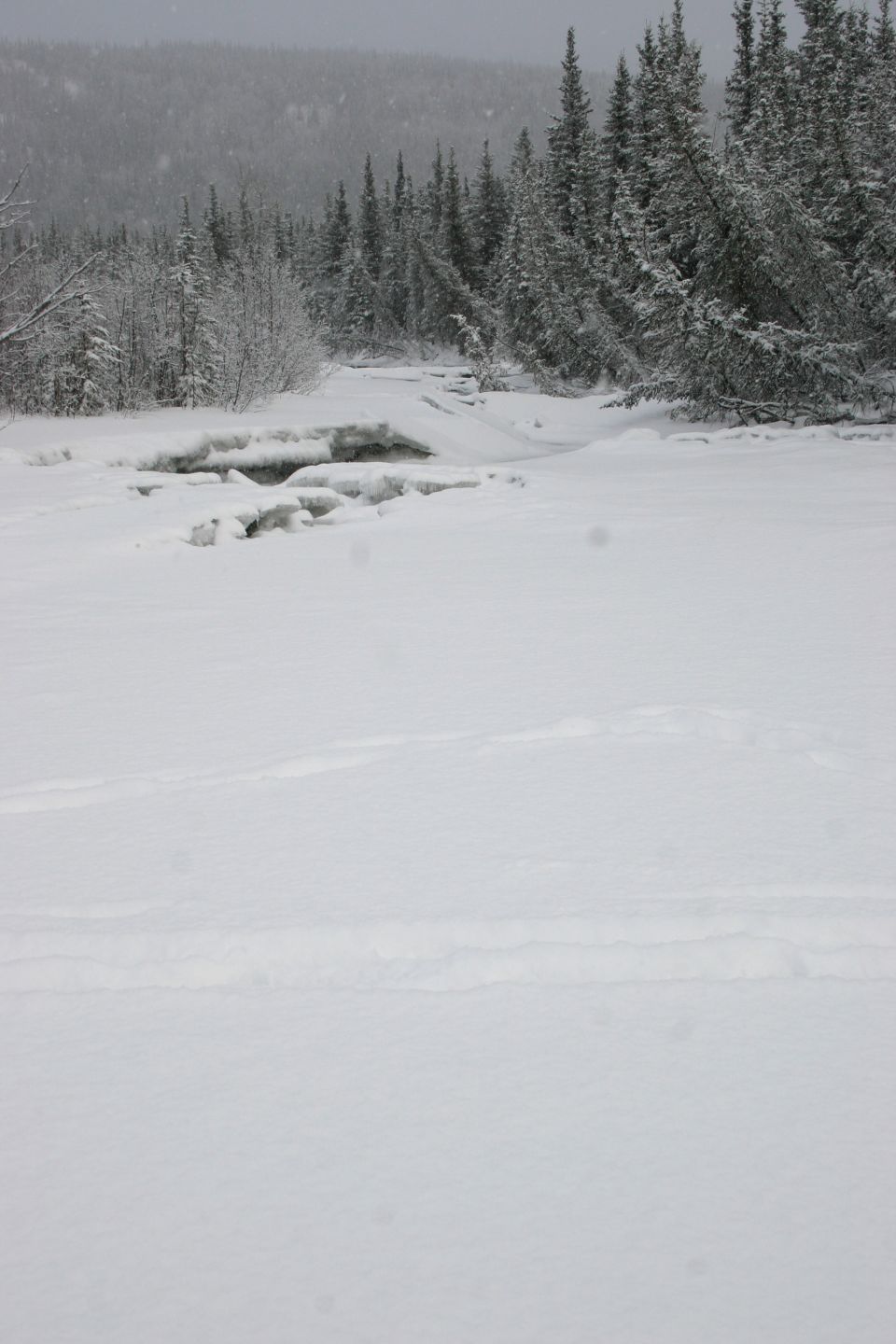 Snowy landscape with frozen stream and pine trees