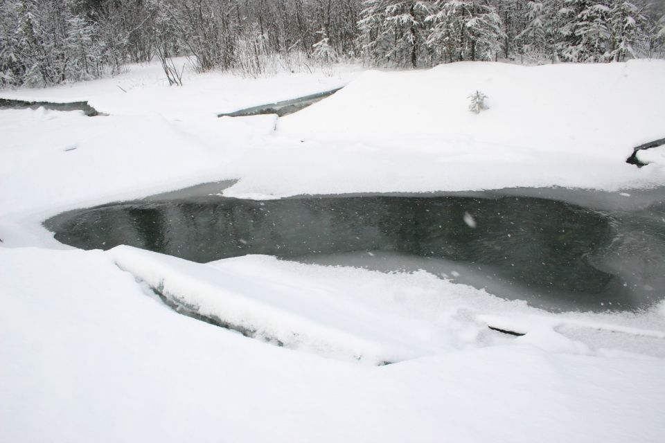 snowy river with ice and trees in background
