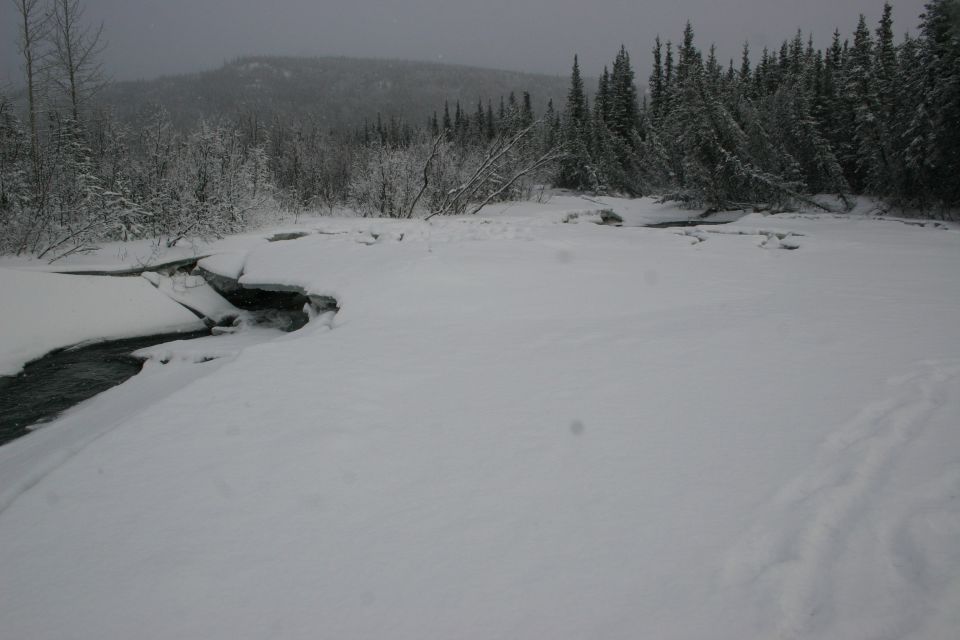 Snowy landscape with a partially frozen stream and trees in the background