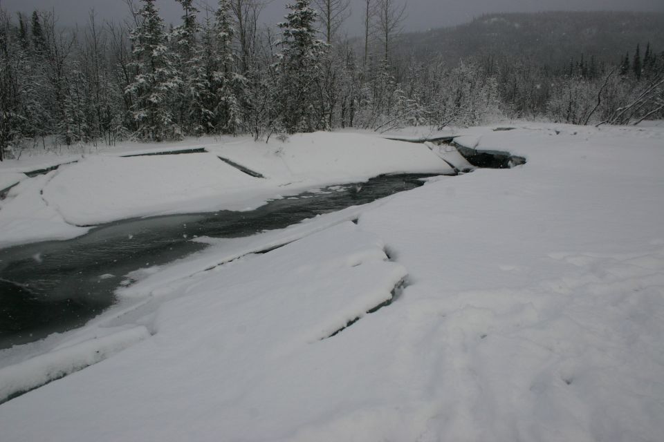 Snowy river with ice floes and trees in background