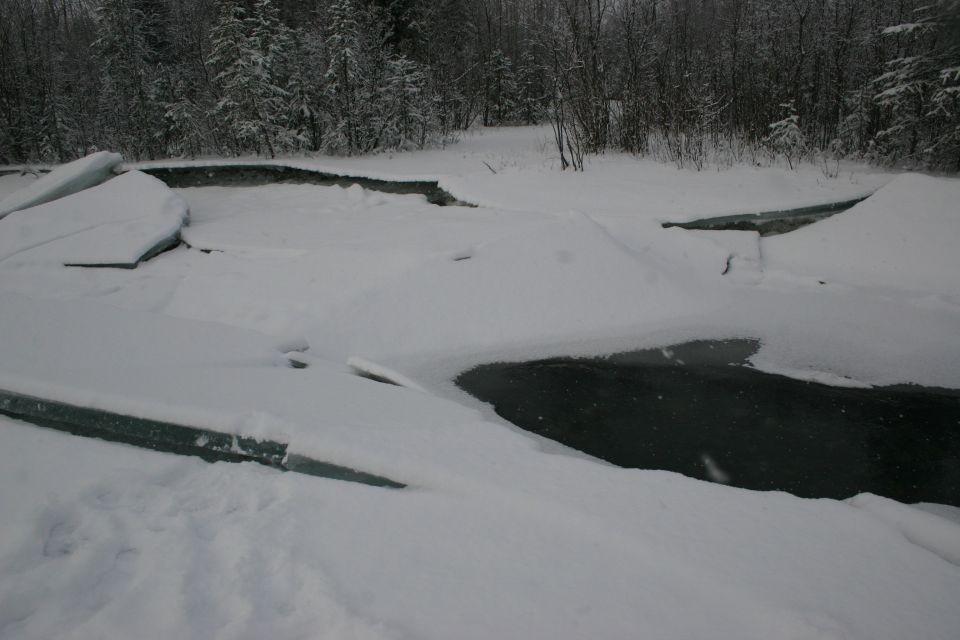 Broken ice chunks and dark water in a snowy landscape with trees in the background