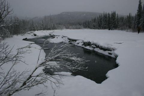 2003 Jeep TJ - A person stands on the bank of a partially frozen river in a snow-covered forest.