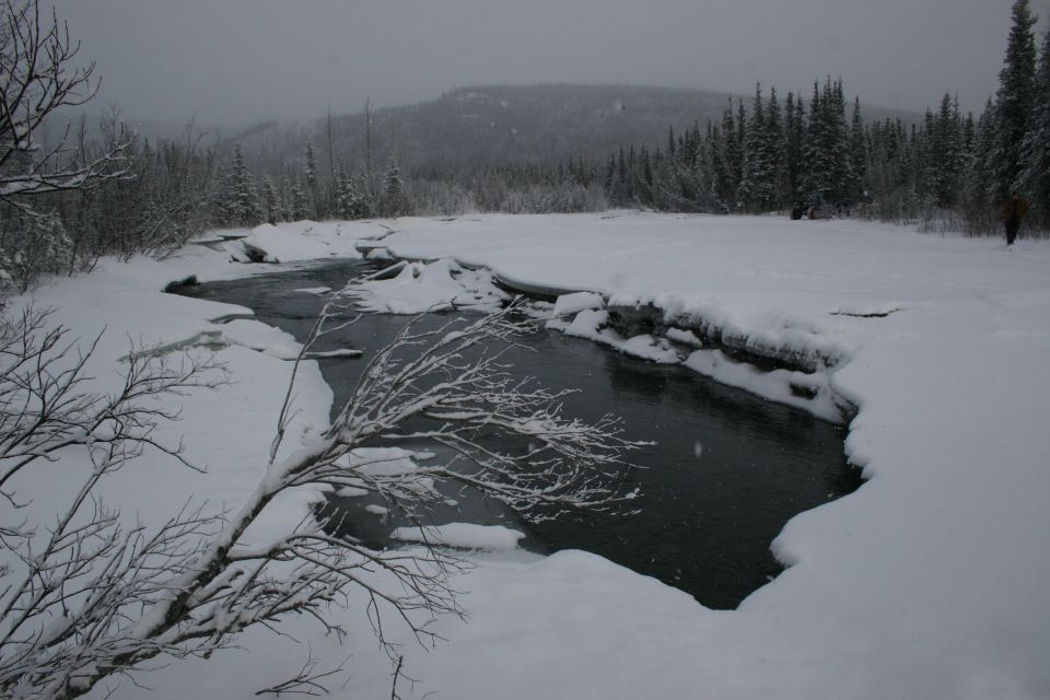 Snowy landscape with a dark river flowing through ice and snow-covered banks, surrounded by pine trees