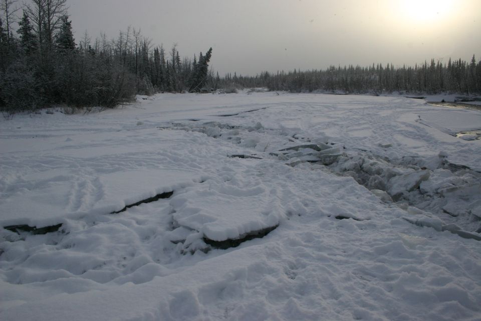 Snowy landscape with cracked ice and trees under a cloudy sky
