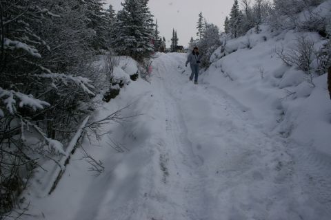2003 Jeep TJ - A person walks up a snow-covered trail with tire tracks, surrounded by snow-laden trees.