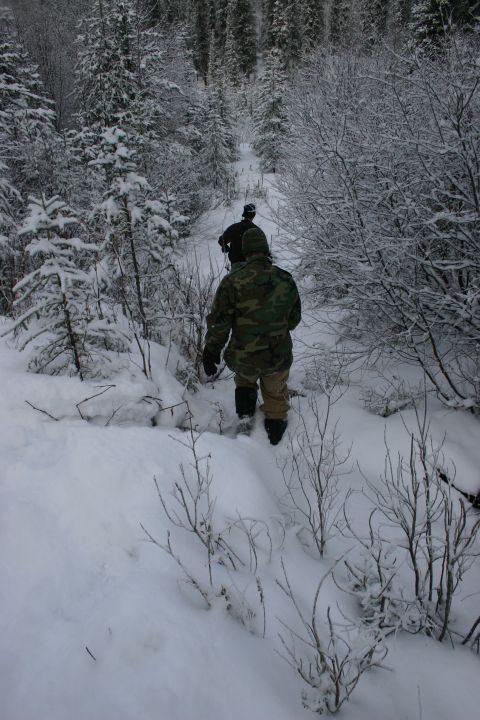 2003 Jeep TJ - Two individuals traverse a snowy woodland trail, surrounded by snow-covered trees and brush.