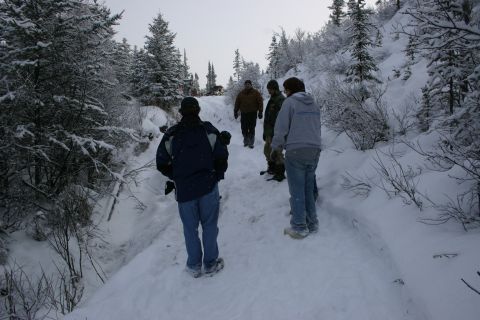 2003 Jeep TJ - A group of people walk along a snow-covered path through a forest, with trees lining the trail.
