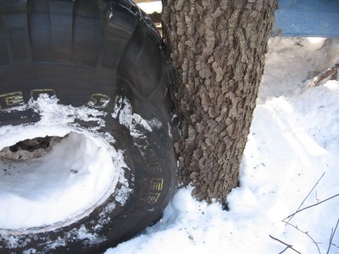 1979 Ford Bronco - A large vehicle tire is wedged against a tree trunk in a snowy environment.