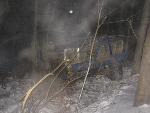 1979 Ford Bronco - A blue off-road vehicle, possibly modified, is stuck in a snowy wooded area, partially obscured by branches.