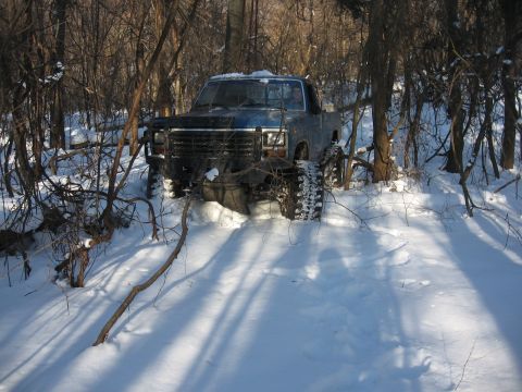 1979 Ford Bronco - A blue pickup truck is stuck in the snow, surrounded by trees and branches.