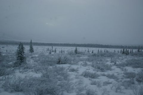 2003 Jeep TJ - A vast, snow-covered landscape stretches out with sparse trees and bushes under a hazy sky.