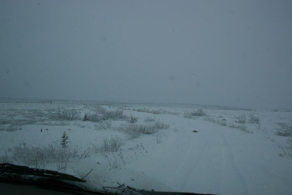 Snow-covered landscape with a dirt track winding through sparse bushes under an overcast sky
