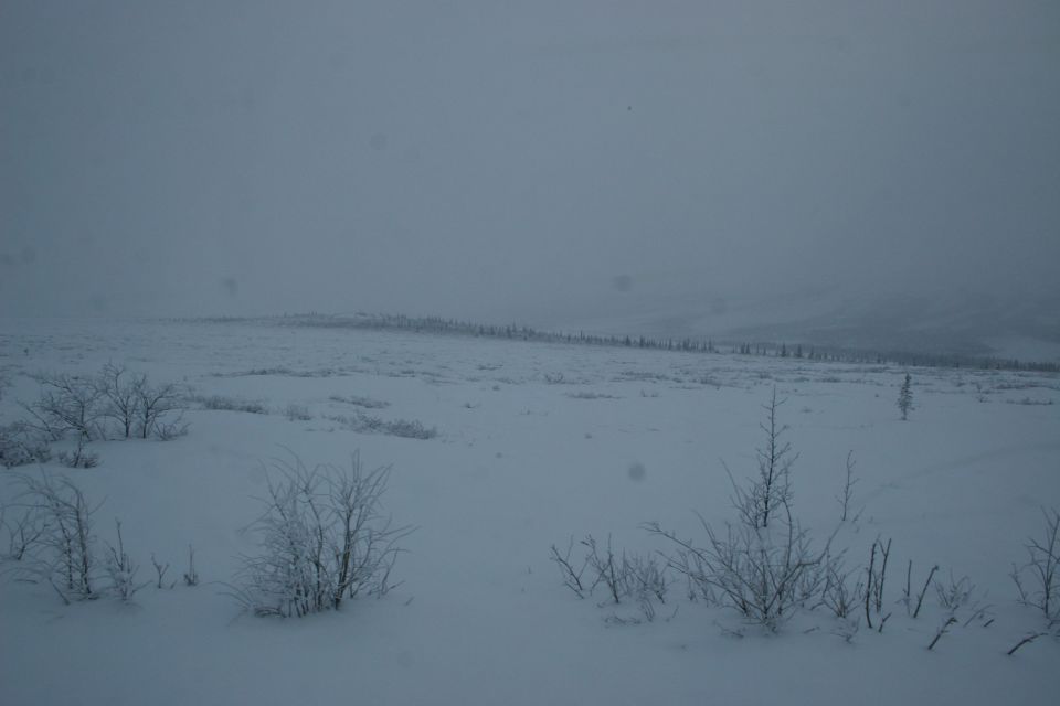 Snowy landscape with bare trees and overcast sky