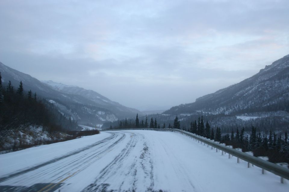 snowy mountain road with guardrail and pine trees