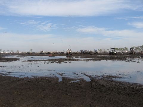 1974 Ford F-100 - Wide view across a churned, water-filled mud bog pit with deep rutted tire tracks in the foreground and standing water reflecting a blue sk…