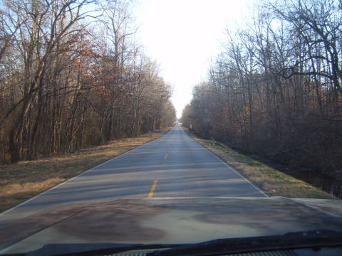 1988 Ford Bronco - The view from a vehicle's dashboard shows a long, straight road stretching through a forest of leafless trees.