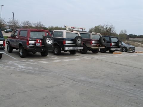 1995 Ford Bronco - A line of Ford Broncos and a Mustang are parked in a lot under an overcast sky.
