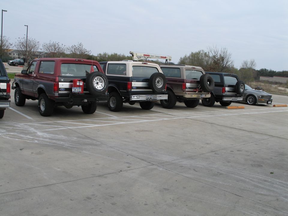 Four Ford Broncos parked in a row, with a Ford Mustang to the right. The Broncos are viewed from the rear