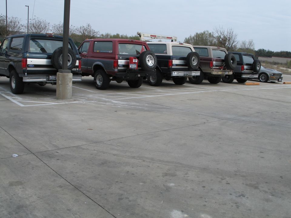 Five lifted full-size Ford Broncos parked in a row, rear view in a parking lot