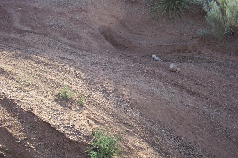 Eroded dirt bank with loose soil and sparse desert plants, no vehicle visible