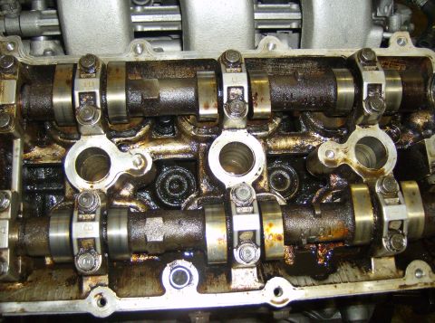 1996 Ford Probe - Close-up view of engine camshafts, showing internal components and oil buildup.
