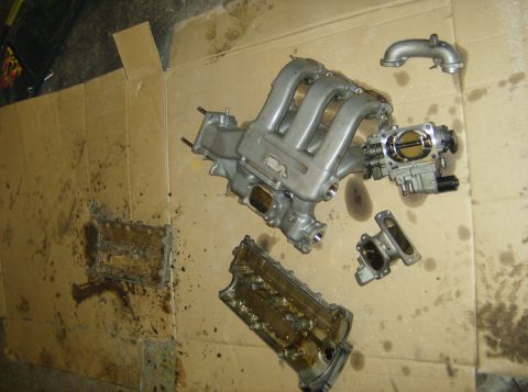 1996 Ford Probe - Disassembled engine parts including intake manifold and valve cover laid out on cardboard.