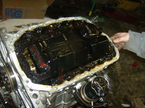 1996 Ford Probe - Severe sludge accumulation inside a vehicle's oil pan, indicating potential engine issues.