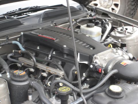 1986 Ford Bronco - Engine bay details with a Saleen branded intake manifold and various hoses and fluid reservoirs visible.
