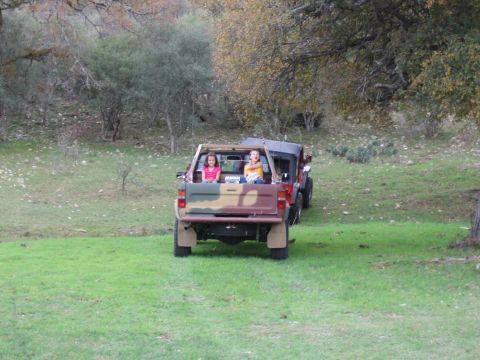 1996 Ford Bronco - Two children ride in the bed of a camouflage pickup truck as it sits in a grassy field.