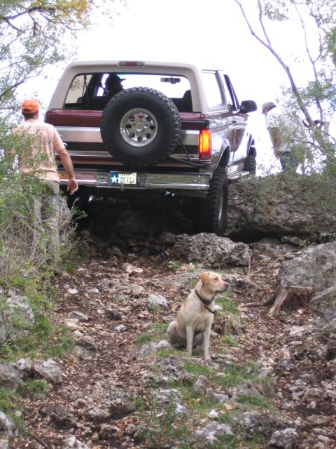 1996 Ford Bronco - 1996 Ford Bronco navigates a challenging rocky terrain with a dog observing the action.
