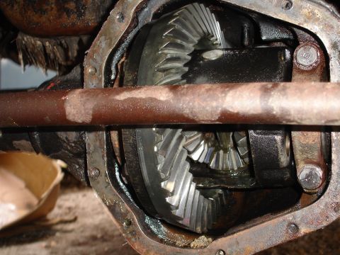 1989 Ford Bronco - Close-up view of differential gears, showing a strange substance within the front differential housing.