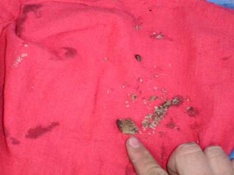 1989 Ford Bronco - A red cloth shows dirt, grease stains, and debris, with a finger pointing to a clump of material.