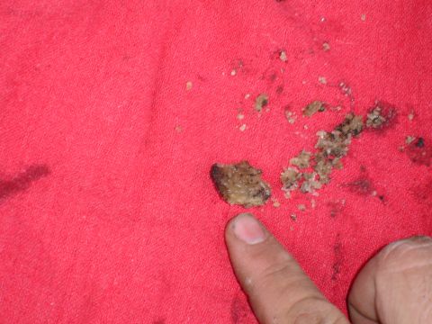 1989 Ford Bronco - A close-up shows a gritty, greasy substance on a red cloth, possibly indicating a mechanical issue.