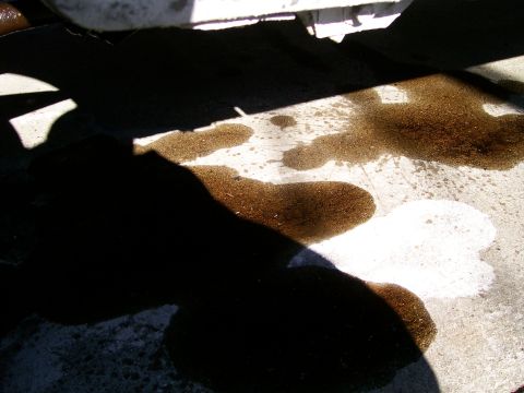 1992 Ford Bronco - Vehicle is leaking fluids onto the ground.