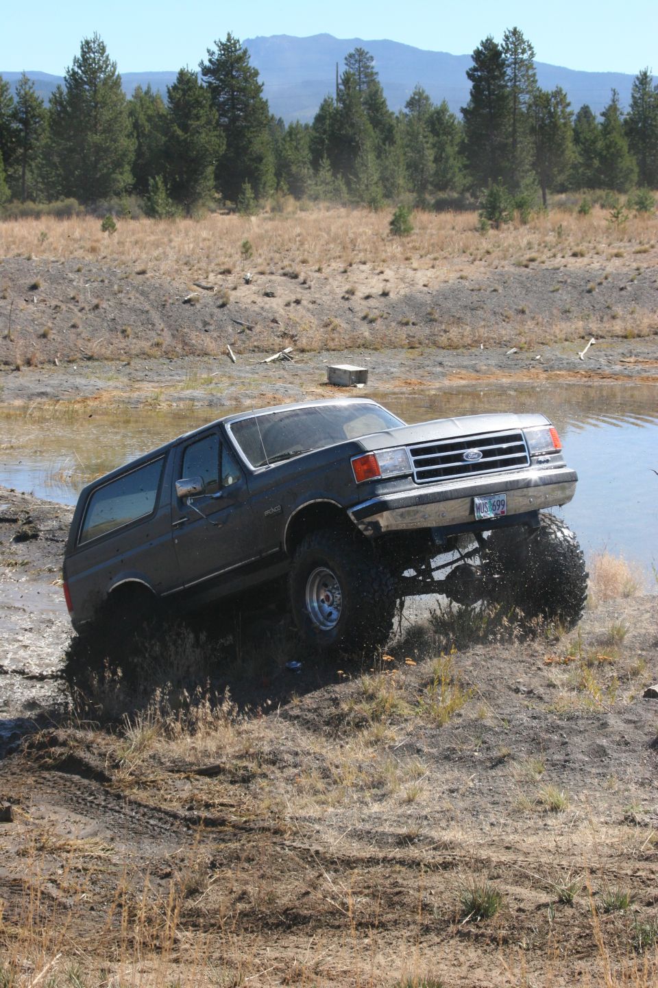 1989 Ford Bronco “Little Mule”