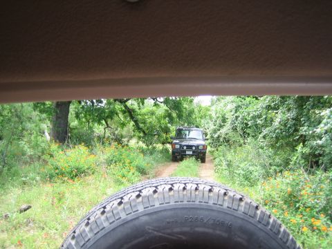 1996 Ford Bronco - A black Land Rover Discovery drives on a dirt path surrounded by greenery and wildflowers.