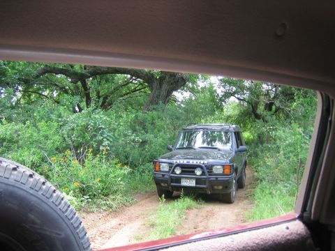 1996 Ford Bronco - A dark SUV, possibly a 1999 model, is seen parked on a dirt road surrounded by lush greenery.