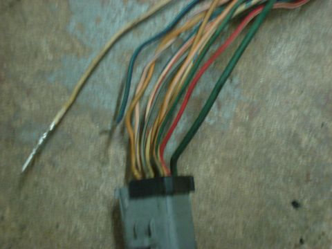 1992 Ford Crown Victoria - Not a document: a photograph of an actual wiring harness connector with stripped multicolored wires.