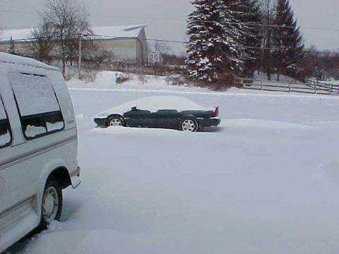 1995 Ford Taurus - Better pic of the 'buried' car