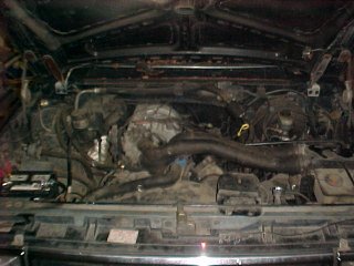 1985 Ford Bronco photo