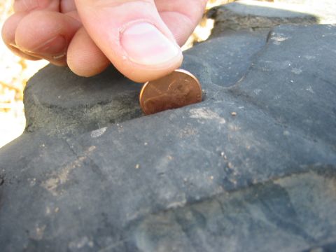 1966 Ford Bronco - Penny shows tire tread depth. The registry claims 1966 Ford Bronco, but this is a tire part.