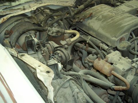 1990 Ford LTD Crown Victoria - Hood removed