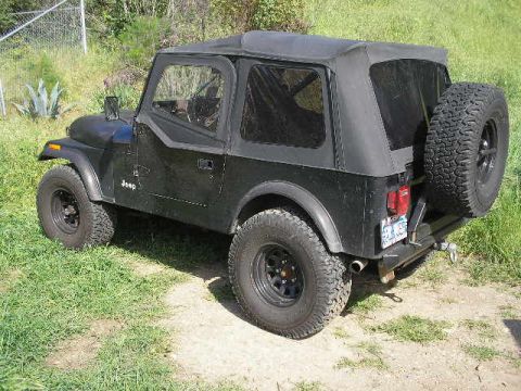 1990 Ford Bronco - Side profile of a black soft-top Jeep CJ with rear-mounted spare tire parked on a dirt path beside tall grass.