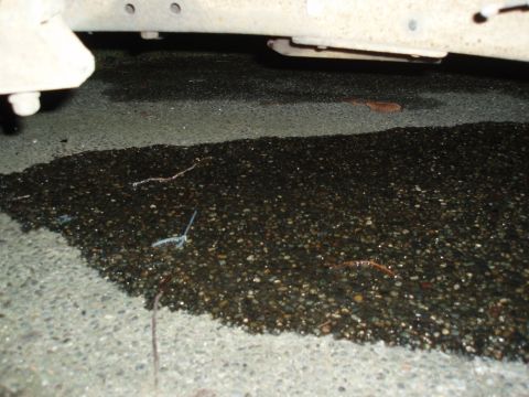 1985 Ford Bronco II - A close-up view of a vehicle's undercarriage and a wet ground surface, with a visible logo from Supermotors.net.