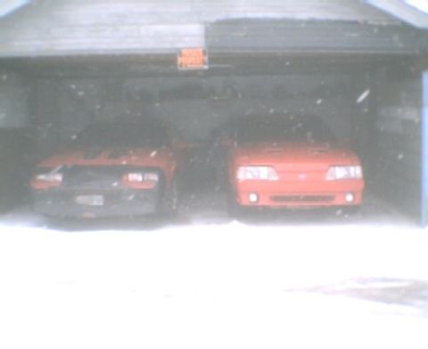 1998 Ford Crown Victoria - side by side on ya