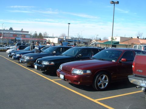 2000 Ford Crown Victoria - Several Ford Crown Victorias are lined up in a parking lot under a clear blue sky.