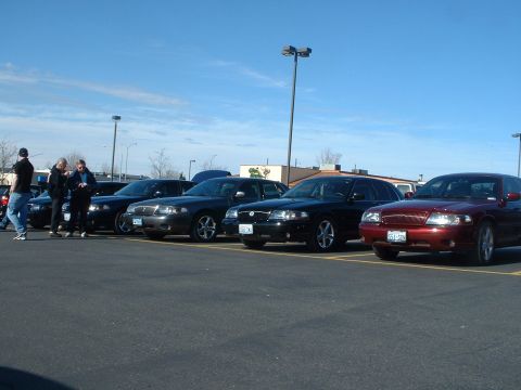 2000 Ford Crown Victoria - A group of Ford Crown Victorias are parked together in a lot under a blue sky.