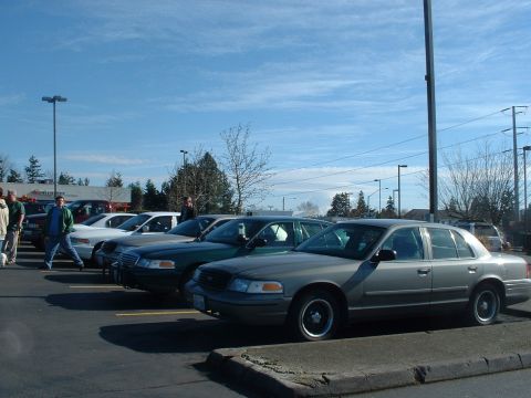 2000 Ford Crown Victoria - Multiple Ford Crown Victoria sedans are parked in a lot on a sunny day.