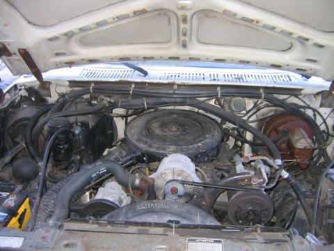 1984 Ford F-350 photo